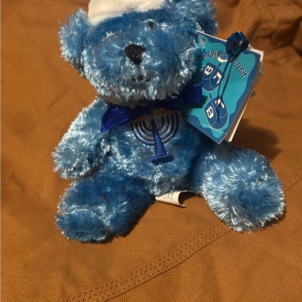 Blue Plush Bear with White Hat